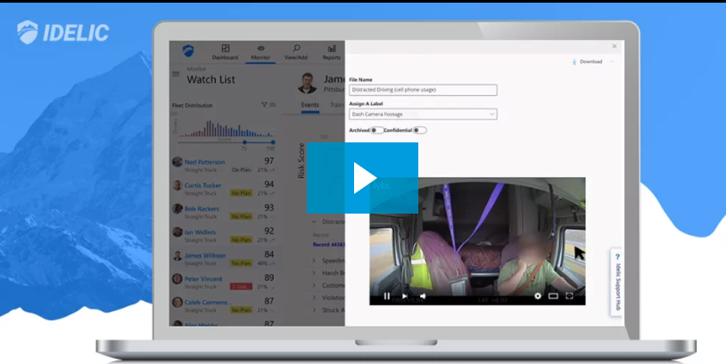 Lytx + Idelic Integration